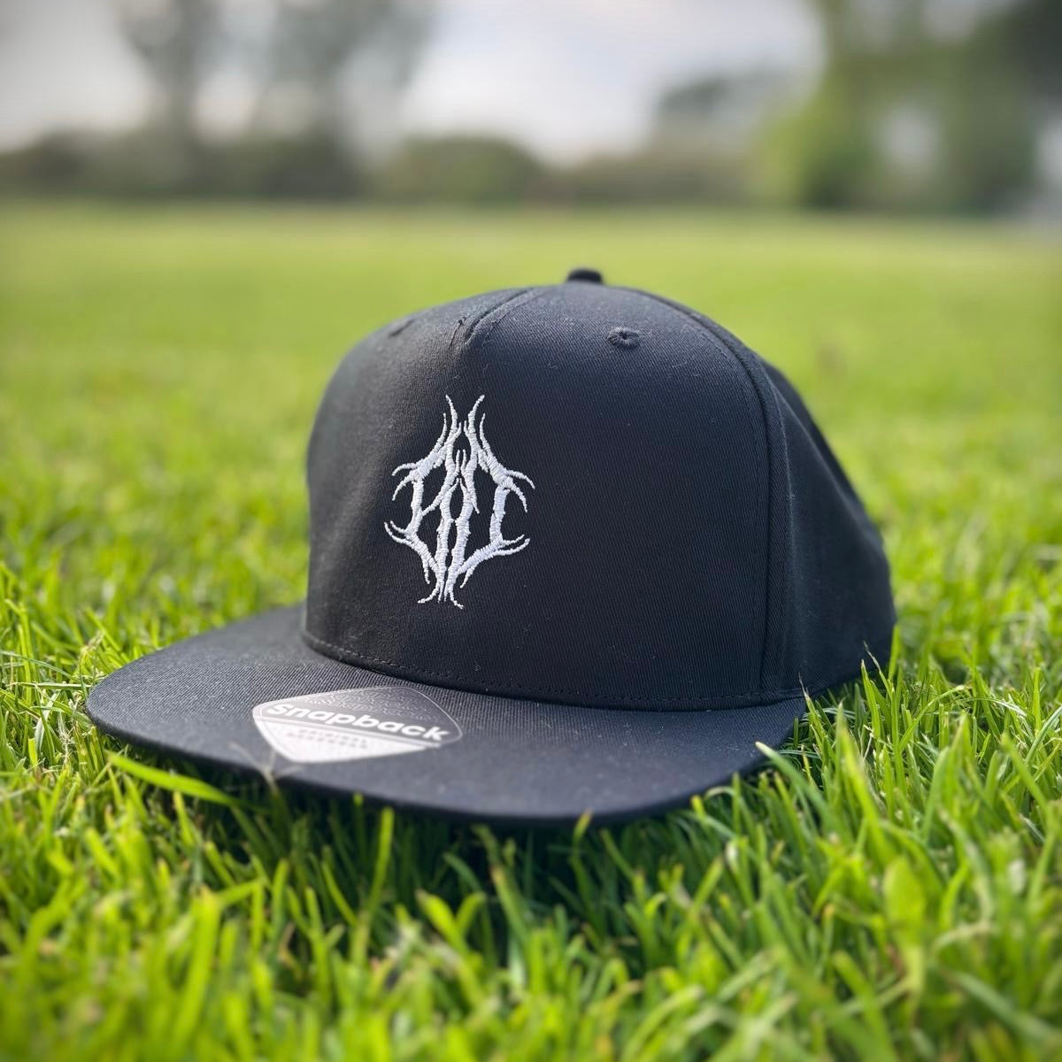 A black snapback cap with a logo on the front, placed on a grassy surface.